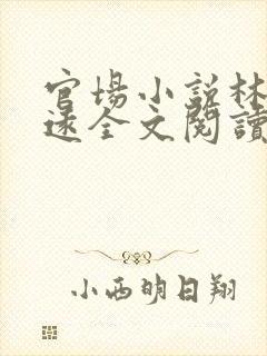 官场小说林毅肖远全文阅读