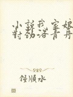 小说我家娘子不对劲洛青舟目录