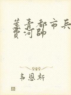 叶青都市兵王免费河帅