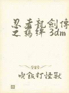 忍者龙剑传 怒之羁绊 3dm