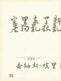 家里来了新狗狗老狗乱拉乱尿