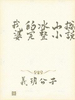 我的冰山总裁老婆完整小说