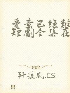 爱意已绝难再续短剧全集在线播放