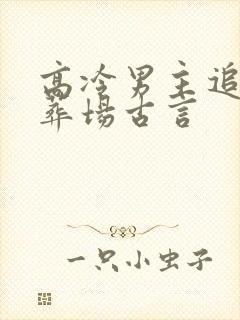 高冷男主追妻火葬场古言
