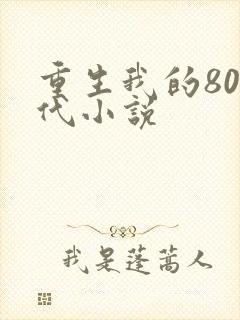 重生我的80年代小说