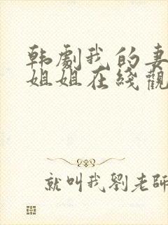 韩剧我的妻子的姐姐在线观看