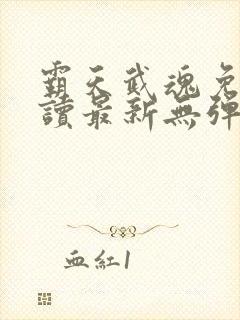 霸天武魂免费阅读最新无弹窗