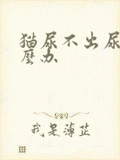 猫尿不出尿来怎么办