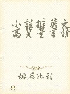 小说推荐文笔好高质量言情