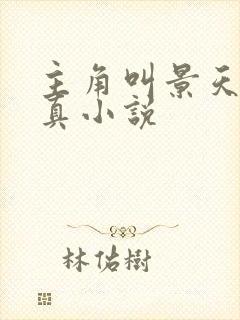 主角叫景天的修真小说