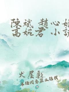 陈斌 赵心媚 高婉君 小说