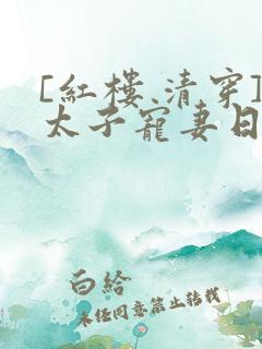 [红楼 清穿]太子宠妻日常 小说