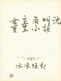 女主角叫沈清的重生小说