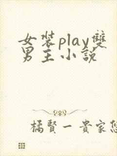 女装play双男主小说