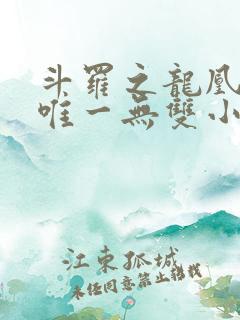 斗罗之龙凰传说唯一无双小说