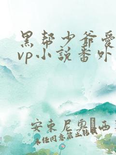 黑帮少爷爱上我vp小说番外