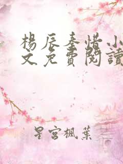 杨辰秦惜小说全文免费阅读