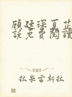 顾廷琛夏芷依小说免费阅读最新章节