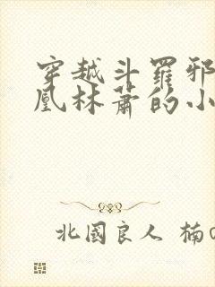 穿越斗罗邪火凤凰林萧的小说