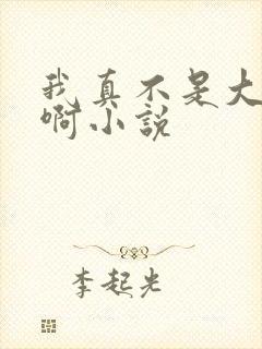 我真不是大反派啊小说