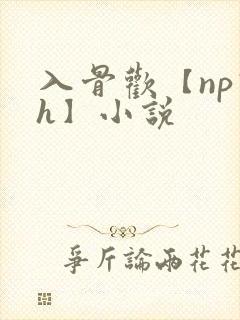 入骨欢【np高h】小说