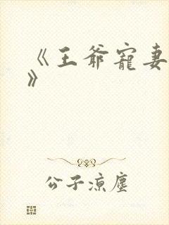 《王爷宠妻无度》