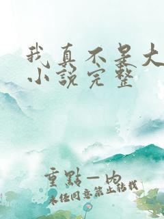 我真不是大佬 小说完整