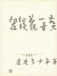 fate第一季在线观看免费观看全集