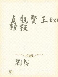 贞观贤王txt精校