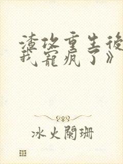 渣攻重生后,把我宠疯了》