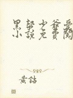 黑帮少爷爱上我小说免费阅读