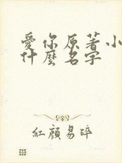 爱你原著小说叫什么名字