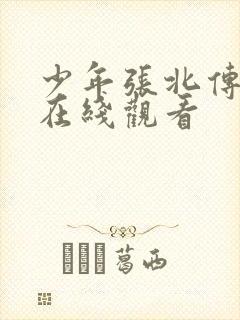 少年张北传短剧在线观看