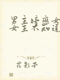 男主暗恋女主,女主不知道的小说