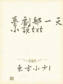 台剧那一天原著小说txt