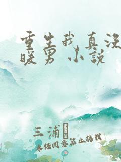 重生我真没想当暖男 小说