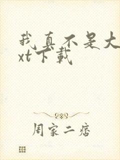 我真不是大佬txt下载