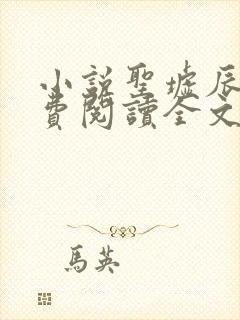 小说圣墟辰东免费阅读全文无窗口