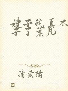 嫂子我真不是傻子了叶凡