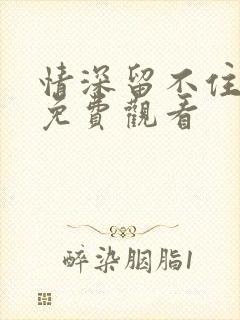 情深留不住短剧免费观看