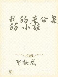 我的老公是重生的 小说