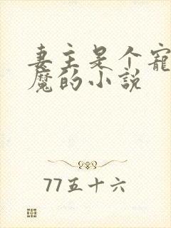 妻主是个宠夫狂魔的小说