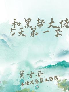 和黑帮大佬365天第一季