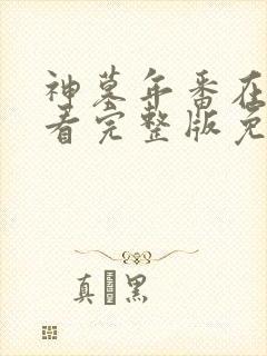 神墓年番在线观看完整版免费第三集