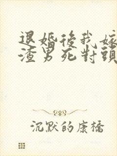 退婚后我嫁给了渣男死对头