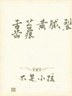 舌苔黄腻裂纹有齿痕