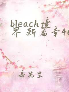 bleach境界 新篇章46集免费观看