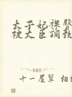 太子妃裸臀跪趴被大臣调教小说