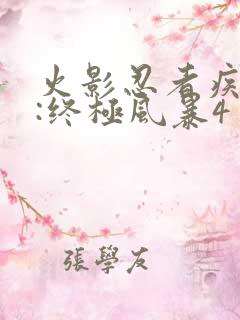 火影忍者疾风传:终极风暴4