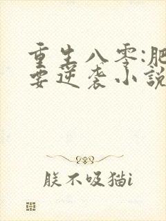 重生八零:肥女要逆袭小说txt主角